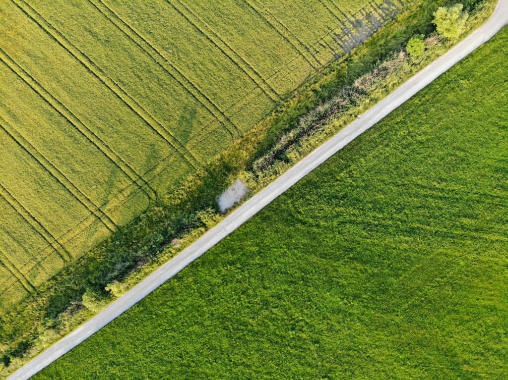 green open field view during daytime